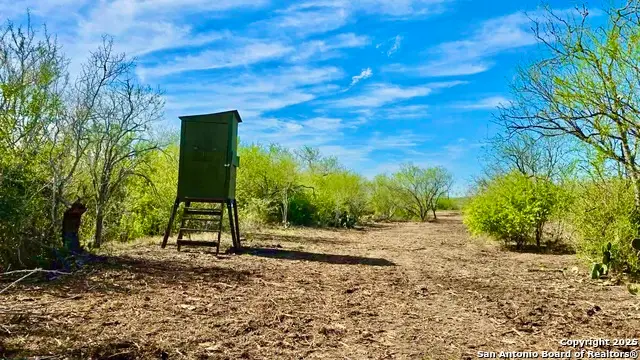 0 County Road 107, Runge, TX 78151 - Image #3