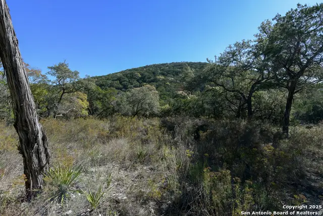 286 Private Road 1733, Mico, TX 78056 - Image #3