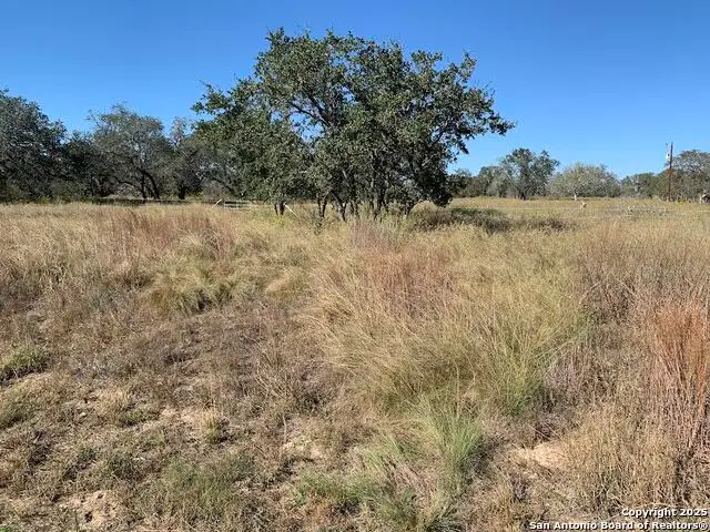 203 Cr 789, Natalia, TX 78059 - Image #2