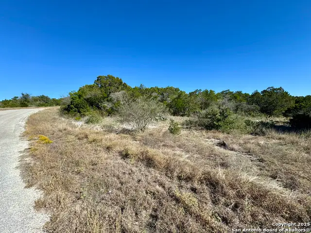 LOT 182 County Road 2816, Mico, TX 78056 - Image #2