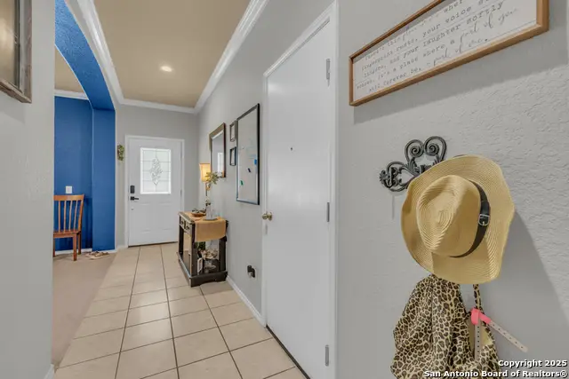 1933 Spotted Owl, New Braunfels, TX 78130 - #3