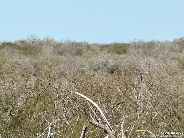 0 Cr 148, Kenedy, TX 78119