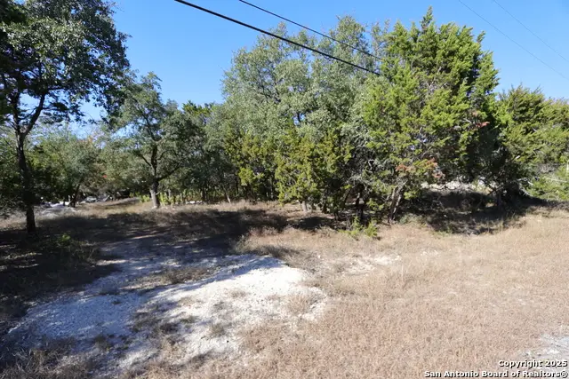 1433 Chestnut Springs, Bulverde, TX 78163 - Image #2