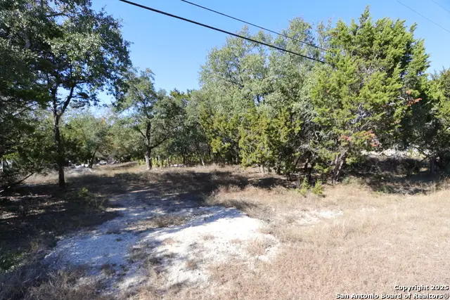 1433 Chestnut Springs, Bulverde, TX 78163 - Image #3