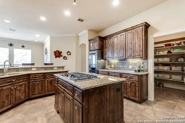 160 Gadwall Way, Spring Branch, TX 78070 - Image #3