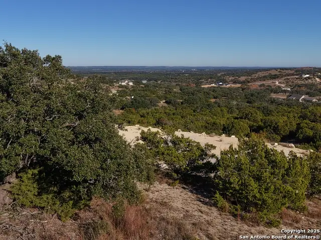 466 Majestic Oak, Blanco, TX 78606 - Image #2