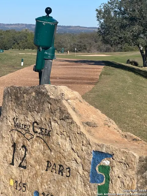 107 Solomon Adams, Blanco, TX 78606 - #2