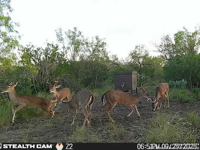 A-735 Franklin Ranch Road, Tilden, TX 78027 - Image #2