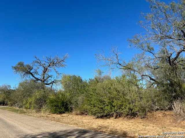 0 Red Barn, Poteet, TX 78065 - Image #2
