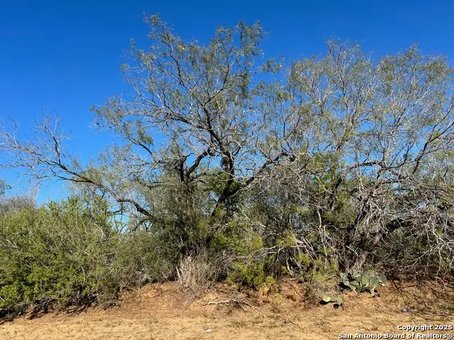 0 Red Barn, Poteet, TX 78065 - Image #3
