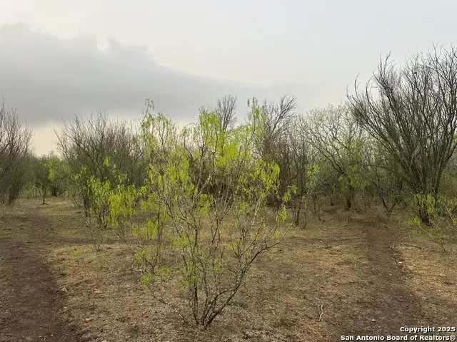 982 Ilka Switch, Seguin, TX 78155 - Image #2