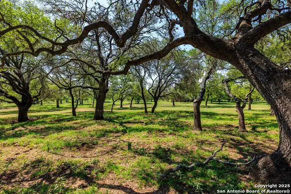 1114 Meadowlark Driv, Fredericksburg, TX 78624