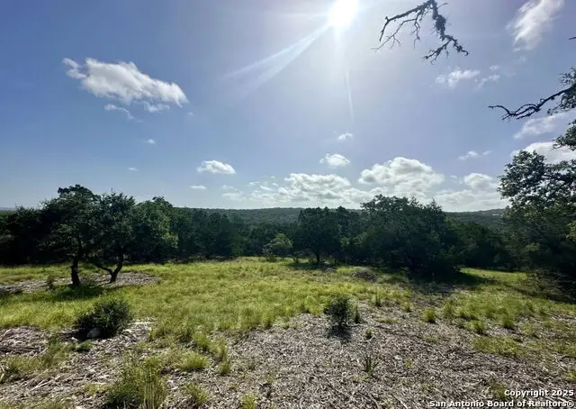 12033 Summer Meadows, Spring Branch, TX 78070 - #2