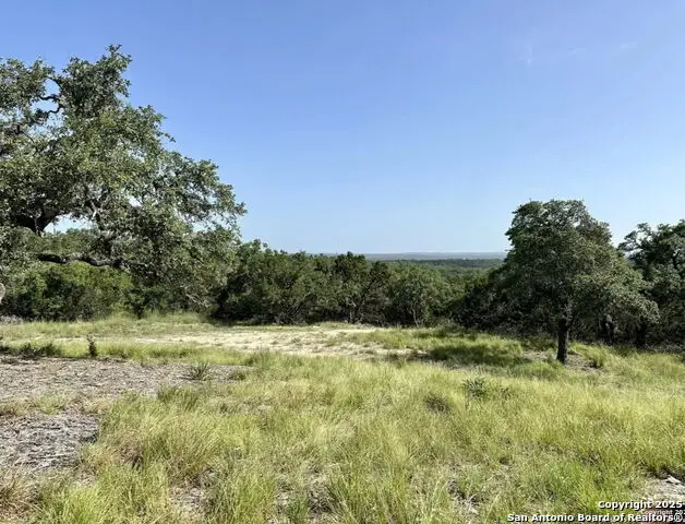 12033 Summer Meadows, Spring Branch, TX 78070 - #3