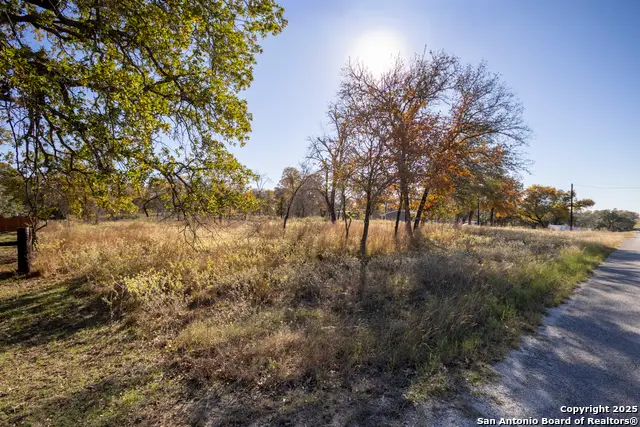 1015 Eagle Creek, Floresville, TX 78114 - Image #2