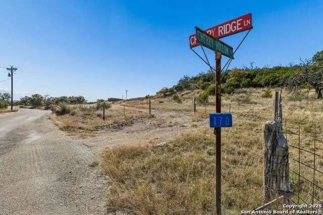 944 Metzger, Fredericksburg, TX 78624 - Image #2