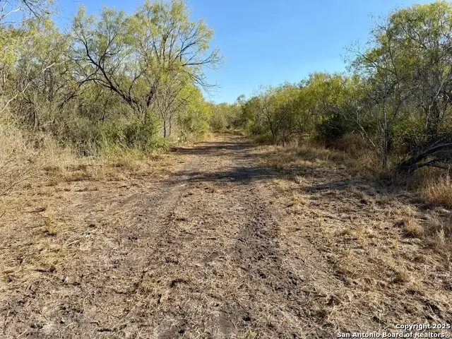 00 County Road 215, McCoy, TX 78113 - Image #3