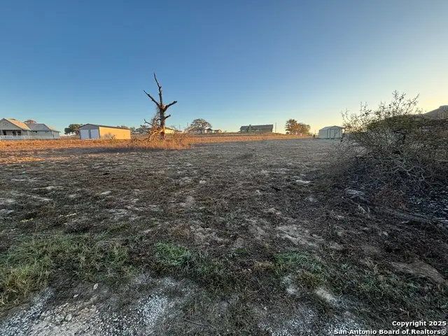 410 Shady, La Vernia, TX 78121 - Image #3