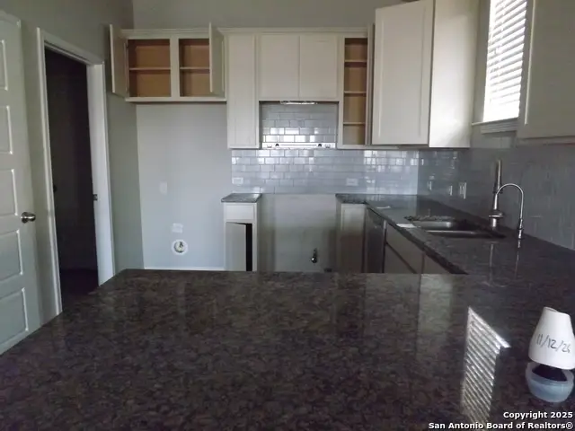 4902 Drovers Path, Saint Hedwig, TX 78152 - #2