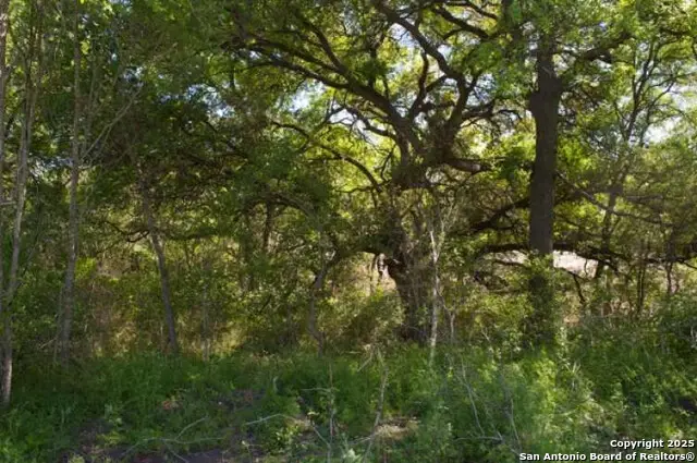 5797 Blacksmith, Marion, TX 78124 - Image #2