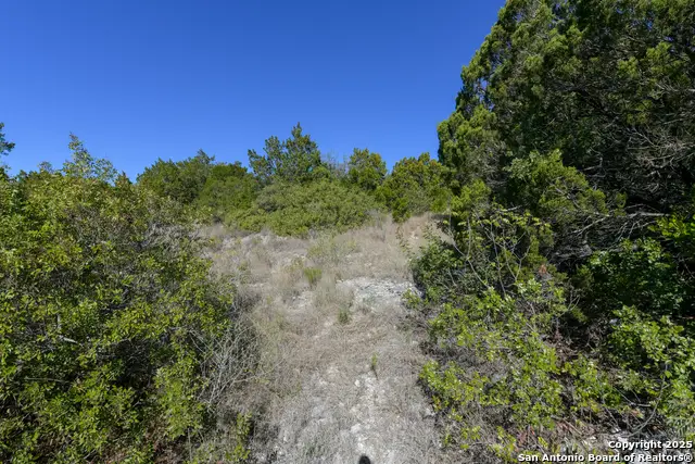 11266 Condor Pass, Helotes, TX 78023 - Image #3