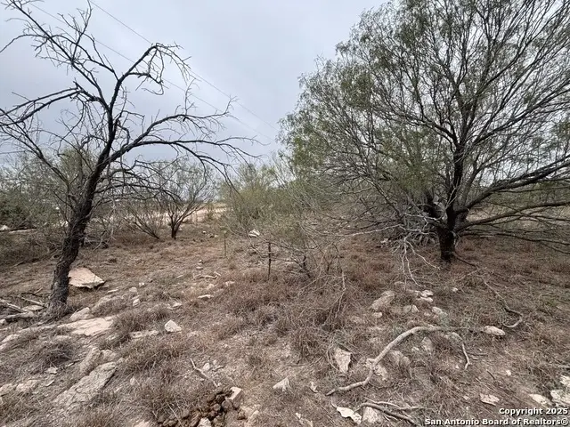437 RR 7150-B Camino Sierra, Laredo, TX 78041 - Image #3