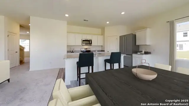 10141 Pine River Drive, Schertz, TX 78154 - Image #3