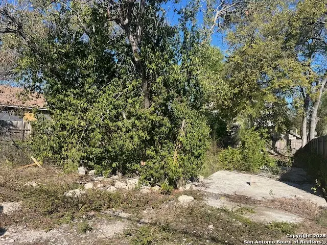 1511 W Hildebrand, San Antonio, TX 78201 - Image #3