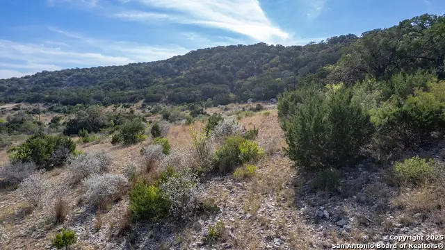 LOT 3-A 290 On The Nueces, Uvalde, TX 78801 - Image #3