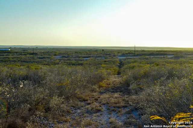 TBD Live Oak Spur, George West, TX 78022 - #1