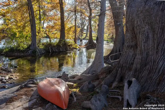 730 E Mather # 101, New Braunfels, TX 78130 - Image #3