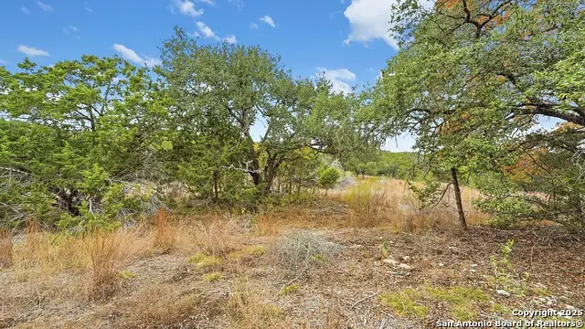 833 Bell Canyon Way, Bulverde, TX 78163 - #3