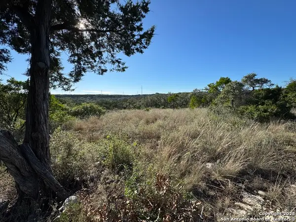 LOT 31 W Cr 2801, Mico, TX 78056