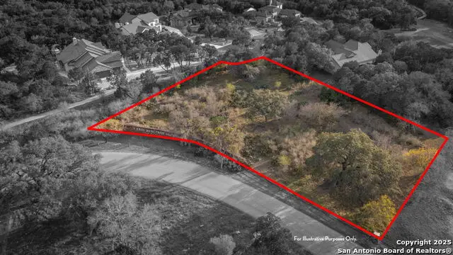 741 Wombat Grove, New Braunfels, TX 78132 - Image #3