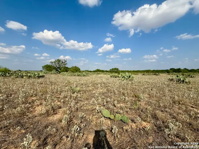 TBD LOT 62 E Cr 1647, Moore, TX 78057 - #3