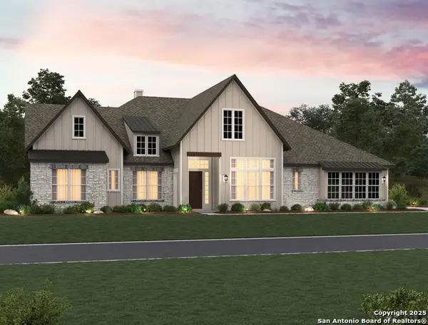 1145 Cape May Warbler, New Braunfels, TX 78132