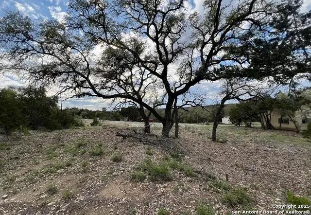 198 Sitting Bull Trl, Canyon Lake, TX 78133 - #2
