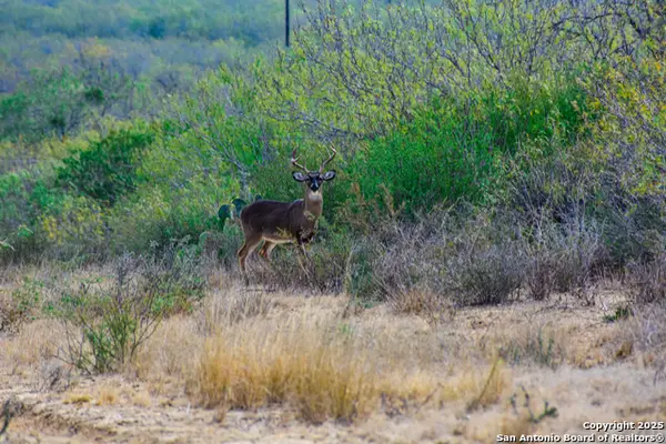 000 Easement Road, Laredo, TX 78401
