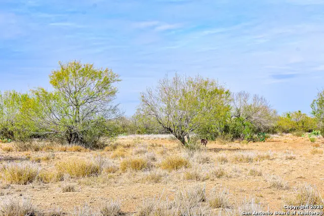 000 Easement Road, Laredo, TX 78401 - Image #3