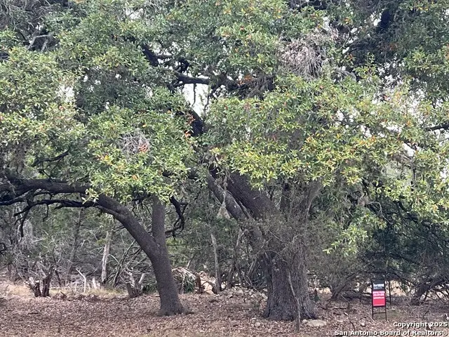 LOT 24 Heinen Circle, Bandera, TX 78003 - Image #3