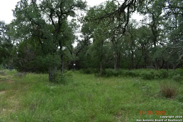 2315 Haven Bluff, New Braunfels, TX 78132 - Image #3