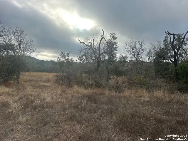 119 Platten Creek, Boerne, TX 78006 - Image #3