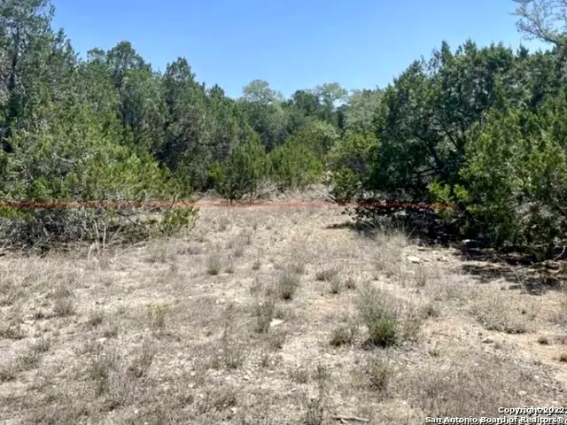 2 Golf Dr, Spring Branch, TX 78070 - Image #3