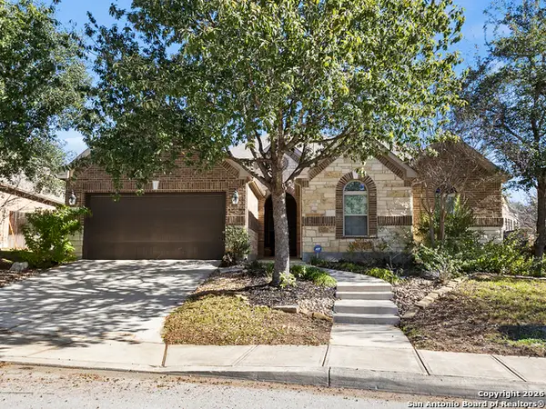 3843 Ox-eye Daisy, San Antonio, TX 78261