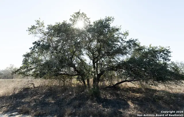 2743 & 2739 Cr 770, Natalia, TX 78059 - Image #1