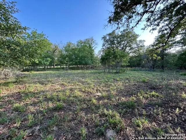 1680 Maldonado, La Vernia, TX 78121 - Image #3