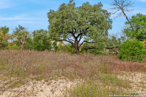 8226 Country Lane Court, San Antonio, TX 78209