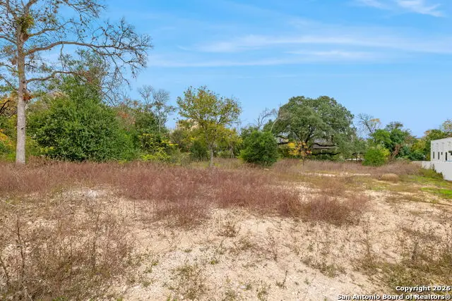 8226 Country Lane Court, San Antonio, TX 78209 - Image #3