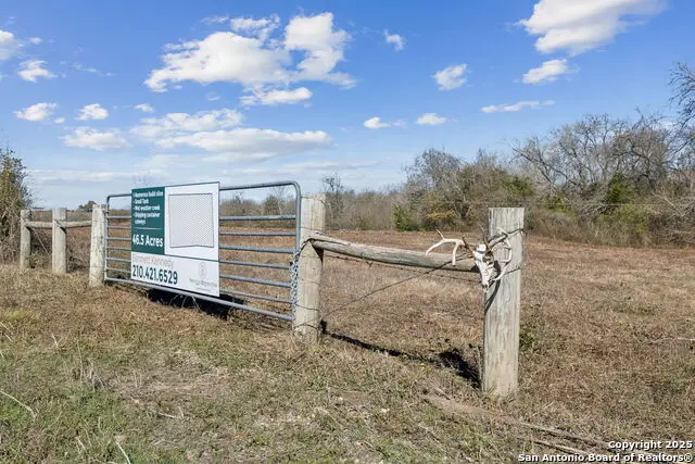 3424 Post Oak Point, New Ulm, TX 78950 - Image #2