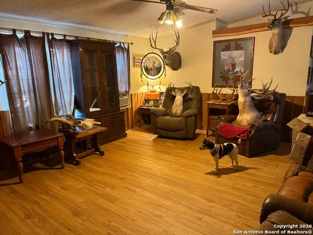 632 Academy B, Blanco, TX 78606 - #2